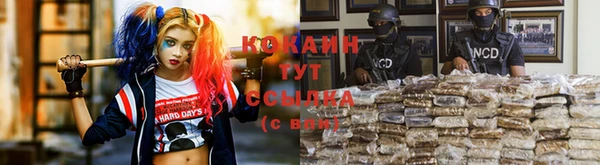 эйфоретик Кукмор