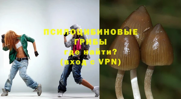 прущие грибы Ижевск