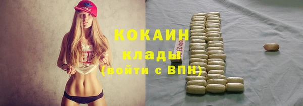 эйфоретик Кукмор