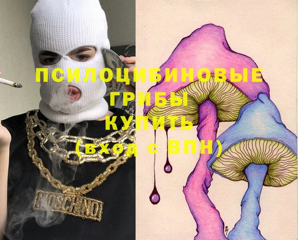 эйфоретик Кукмор