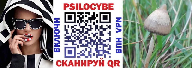 Галлюциногенные грибы Psilocybe  Отрадная 